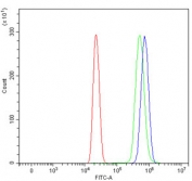 Flow cytometry testing of human HL60 cells with TOX antibody at 1ug/million cells (blocked with goat sera); Red=cells alone, Green=isotype control, Blue= TOX antibody.