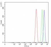 Flow cytometry testing of human PC-3 cells with Prostaglandin E synthase 3 antibody at 1ug/million cells (blocked with goat sera); Red=cells alone, Green=isotype control, Blue= Prostaglandin E synthase 3 antibody.