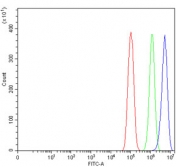 Flow cytometry testing of human PC-3 cells with Poliovirus Receptor antibody at 1ug/million cells (blocked with goat sera); Red=cells alone, Green=isotype control, Blue= Poliovirus Receptor antibody.