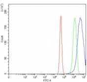 Flow cytometry testing of human U-87 MG cells with Ran GTPase-activating protein 1 antibody at 1ug/million cells (blocked with goat sera); Red=cells alone, Green=isotype control, Blue= Ran GTPase-activating protein 1 antibody.