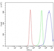 Flow cytometry testing of human Daudi cells with Solo antibody at 1ug/million cells (blocked with goat sera); Red=cells alone, Green=isotype control, Blue= Solo antibody.