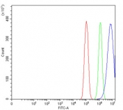 Flow cytometry testing of human PC-3 cells with Positive cofactor 4 antibody at 1ug/million cells (blocked with goat sera); Red=cells alone, Green=isotype control, Blue= Positive cofactor 4 antibody.