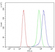 Flow cytometry testing of human MCF7 cells with TTPA antibody at 1ug/million cells (blocked with goat sera); Red=cells alone, Green=isotype control, Blue= TPPA antibody.