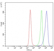 Flow cytometry testing of human Daudi cells with UDP-glucuronosyltransferase 1A10 antibody at 1ug/million cells (blocked with goat sera); Red=cells alone, Green=isotype control, Blue= UDP-glucuronosyltransferase 1A10 antibody.