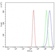 Flow cytometry testing of human A431 cells with YY1 antibody at 1ug/million cells (blocked with goat sera); Red=cells alone, Green=isotype control, Blue= YY1 antibody.