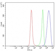 Flow cytometry testing of human Daudi cells with PLP2 antibody at 1ug/million cells (blocked with goat sera); Red=cells alone, Green=isotype control, Blue= PLP2 antibody.