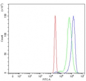 Flow cytometry testing of human HepG2 cells with Homeobox protein cut-like 1 antibody at 1ug/million cells (blocked with goat sera); Red=cells alone, Green=isotype control, Blue= Homeobox protein cut-like 1 antibody.