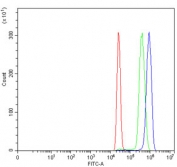 Flow cytometry testing of human HL60 cells with DAO antibody at 1ug/million cells (blocked with goat sera); Red=cells alone, Green=isotype control, Blue= DAO antibody.