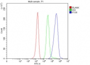 Flow cytometry testing of human A2780 cells with Junctional adhesion molecule A antibody at 1ug/million cells (blocked with goat sera); Red=cells alone, Green=isotype control, Blue= Junctional adhesion molecule A antibody.