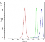 Flow cytometry testing of human JK cells with ERG-1 antibody at 1ug/million cells (blocked with goat sera); Red=cells alone, Green=isotype control, Blue= ERG-1 antibody.