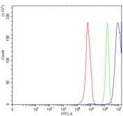 Flow cytometry testing of human RT4 cells with LHX4 antibody at 1ug/million cells (blocked with goat sera); Red=cells alone, Green=isotype control, Blue= LHX4 antibody.