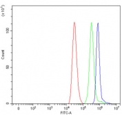 Flow cytometry testing of human ThP-1 cells with SPT5 antibody at 1ug/million cells (blocked with goat sera); Red=cells alone, Green=isotype control, Blue= SPT5 antibody.