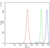 Flow cytometry testing of human JK cells with DBN1 antibody at 1ug/million cells (blocked with goat sera); Red=cells alone, Green=isotype control, Blue= DBN1 antibody