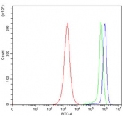 Flow cytometry testing of human JK cells with ERLIN2 antibody at 1ug/million cells (blocked with goat sera); Red=cells alone, Green=isotype control, Blue= ERLIN2 antibody.