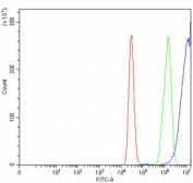 Flow cytometry testing of human MCF7 cells with Integrin beta 4 antibody at 1ug/million cells (blocked with goat sera); Red=cells alone, Green=isotype control, Blue= Integrin beta 4 antibody.