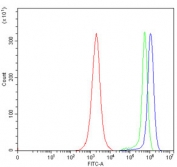 Flow cytometry testing of human JK cells with TLN1 antibody at 1ug/million cells (blocked with goat sera); Red=cells alone, Green=isotype control, Blue= TLN1 antibody.