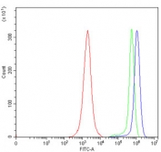 Flow cytometry testing of human JK cells with TLN1 antibody at 1ug/million cells (blocked with goat sera); Red=cells alone, Green=isotype control, Blue= TLN1 antibody.