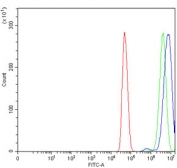 Flow cytometry testing of human U-251 cells with KHSRP antibody at 1ug/million cells (blocked with goat sera); Red=cells alone, Green=isotype control, Blue= KHSRP antibody.