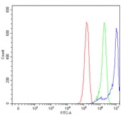 Flow cytometry testing of human RT4 cells with KPNB1 antibody at 1ug/million cells (blocked with goat sera); Red=cells alone, Green=isotype control, Blue= KPNB1 antibody.