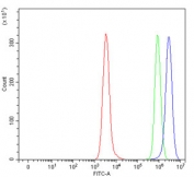Flow cytometry testing of human Daudi cells with HLA-DRA antibody at 1ug/million cells (blocked with goat sera); Red=cells alone, Green=isotype control, Blue= HLA-DRA antibody.