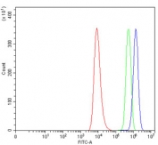 Flow cytometry testing of human HEL cells with Alpha/beta-hydrolase 4 antibody at 1ug/million cells (blocked with goat sera); Red=cells alone, Green=isotype control, Blue= Alpha/beta-hydrolase 4 antibody.