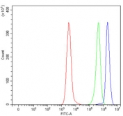 Flow cytometry testing of fixed human Daudi cells with ATP4A antibody at 1ug/million cells (blocked with goat sera); Red=cells alone, Green=isotype control, Blue= ATP4A antibody.