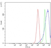 Flow cytometry testing of human RT4 cells with BBS9 antibody at 1ug/million cells (blocked with goat sera); Red=cells alone, Green=isotype control, Blue= BBS9 antibody.