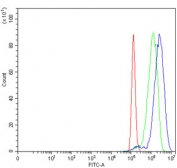 Flow cytometry testing of human PC-3 cells with Bromodomain-containing protein 9 antibody at 1ug/million cells (blocked with goat sera); Red=cells alone, Green=isotype control, Blue= Bromodomain-containing protein 9 antibody.