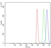 Flow cytometry testing of human HeLa cells with BRDT antibody at 1ug/million cells (blocked with goat sera); Red=cells alone, Green=isotype control, Blue= BRDT antibody.
