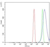 Flow cytometry testing of human SiHa cells with CEP250 antibody at 1ug/million cells (blocked with goat sera); Red=cells alone, Green=isotype control, Blue= CEP250 antibody.