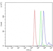 Flow cytometry testing of human ThP-1 cells with CHTOP antibody at 1ug/million cells (blocked with goat sera); Red=cells alone, Green=isotype control, Blue= CHTOP antibody.