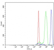 Flow cytometry testing of rat RH35 cells with CHTOP antibody at 1ug/million cells (blocked with goat sera); Red=cells alone, Green=isotype control, Blue= CHTOP antibody.