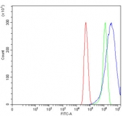 Flow cytometry testing of human U-251 cells with CRABP2 antibody at 1ug/million cells (blocked with goat sera); Red=cells alone, Green=isotype control, Blue= CRABP2 antibody.