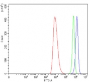 Flow cytometry testing of human HEL cells with MDR15 antibody at 1ug/million cells (blocked with goat sera); Red=cells alone, Green=isotype control, Blue= MDR15 antibody.