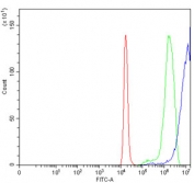 Flow cytometry testing of rat C6 cells with DNMT3B antibody at 1ug/million cells (blocked with goat sera); Red=cells alone, Green=isotype control, Blue= DNMT3B antibody.