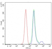 Flow cytometry testing of mouse ANA-1 cells with DNMT3B antibody at 1ug/million cells (blocked with goat sera); Red=cells alone, Green=isotype control, Blue= DNMT3B antibody.