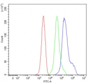 Flow cytometry testing of mouse ANA-1 cells with Fanca antibody at 1ug/million cells (blocked with goat sera); Red=cells alone, Green=isotype control, Blue= Fanca antibody.