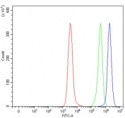 Flow cytometry testing of human Daudi cells with FGFR2 antibody at 1ug/million cells (blocked with goat sera); Red=cells alone, Green=isotype control, Blue= FGFR2 antibody.