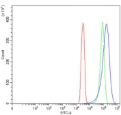 Flow cytometry testing of human SiHa cells with FKBP1A/B antibody at 1ug/million cells (blocked with goat sera); Red=cells alone, Green=isotype control, Blue= FKBP1A/B antibody.
