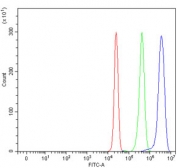 Flow cytometry testing of human HepG2 cells with GRIPAP1 antibody at 1ug/million cells (blocked with goat sera); Red=cells alone, Green=isotype control, Blue= GRIPAP1 antibody.