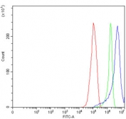 Flow cytometry testing of human RT4 cells with HCLS1 antibody at 1ug/million cells (blocked with goat sera); Red=cells alone, Green=isotype control, Blue= HCLS1 antibody.