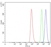 Flow cytometry testing of human HEL cells with CD61 antibody at 1ug/million cells (blocked with goat sera); Red=cells alone, Green=isotype control, Blue= CD61 antibody.