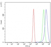 Flow cytometry testing of mouse Neuro-2a cells with KMO antibody at 1ug/million cells (blocked with goat sera); Red=cells alone, Green=isotype control, Blue= KMO antibody.