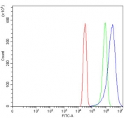 Flow cytometry testing of human SiHa cells with Mitochondrial fission factor antibody at 1ug/million cells (blocked with goat sera); Red=cells alone, Green=isotype control, Blue= Mitochondrial fission factor antibody.