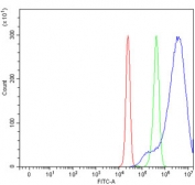 Flow cytometry testing of human HepG2 cells with MIPOL1 antibody at 1ug/million cells (blocked with goat sera); Red=cells alone, Green=isotype control, Blue= MIPOL1 antibody.