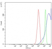 Flow cytometry testing of human RT4 cells with MTSS1 antibody at 1ug/million cells (blocked with goat sera); Red=cells alone, Green=isotype control, Blue= MTSS1 antibody.