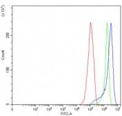Flow cytometry testing of human RT4 cells with MX1 antibody at 1ug/million cells (blocked with goat sera); Red=cells alone, Green=isotype control, Blue= MX1 antibody.