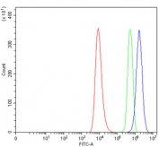 Flow cytometry testing of human HEL cells with NOS1AP antibody at 1ug/million cells (blocked with goat sera); Red=cells alone, Green=isotype control, Blue= NOS1AP antibody.