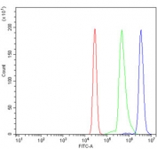 Flow cytometry testing of human U937 cells with RNF8 antibody at 1ug/million cells (blocked with goat sera); Red=cells alone, Green=isotype control, Blue= RNF8 antibody.