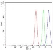 Flow cytometry testing of human 293T cells with SNAI1 antibody at 1ug/million cells (blocked with goat sera); Red=cells alone, Green=isotype control, Blue= SNAI1 antibody.